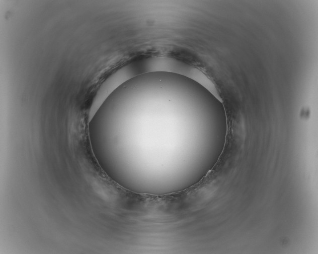 X0000089940818200707201901