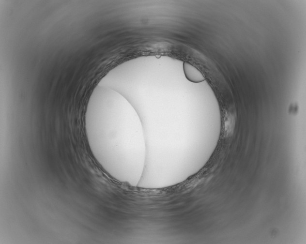 X0000089940819200707201901