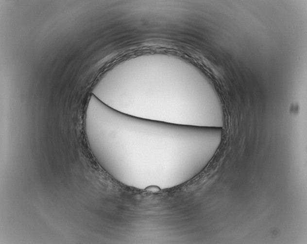 X0000089940821200707201901