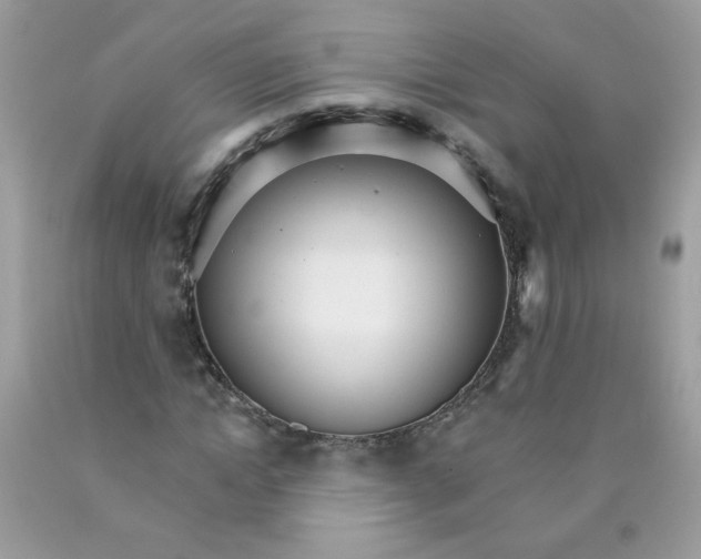 X0000089940822200707201901