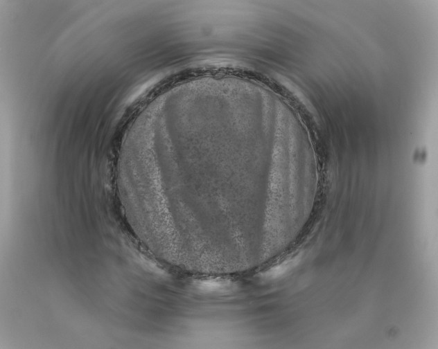 X0000089940823200707201901