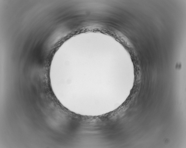 X0000089940824200707201901