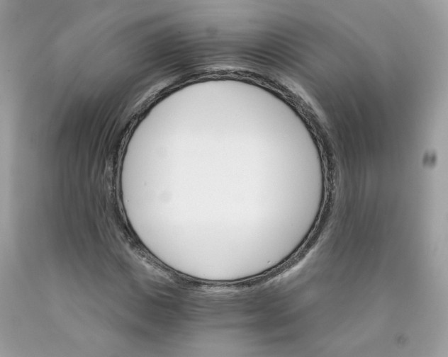 X0000089940825200707201901