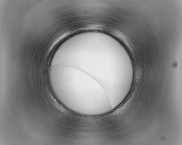 X0000089940827200707201901