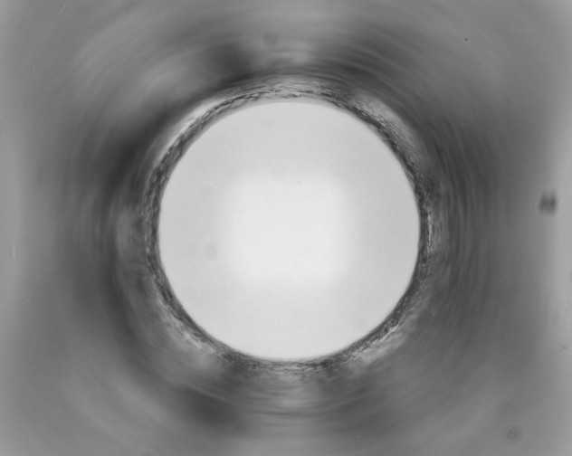 X0000089940828200707201901