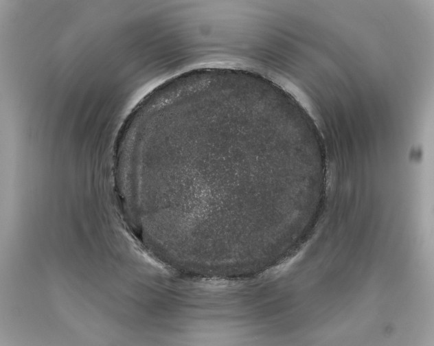 X0000089940829200707201901