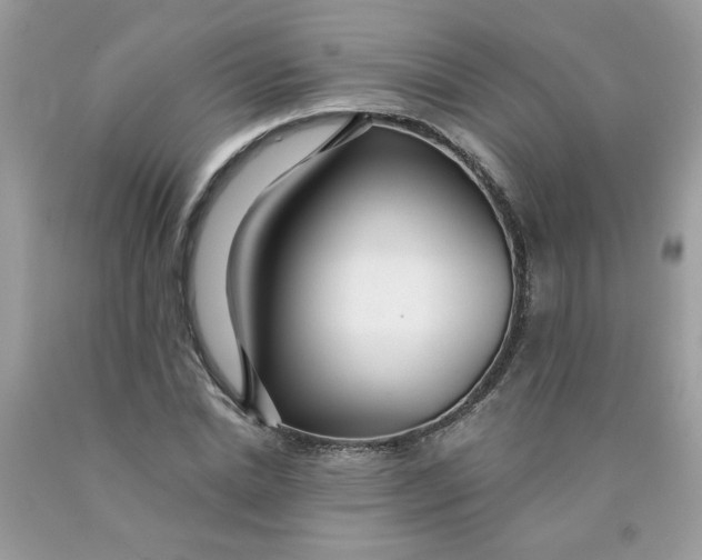 X0000089940830200707201901