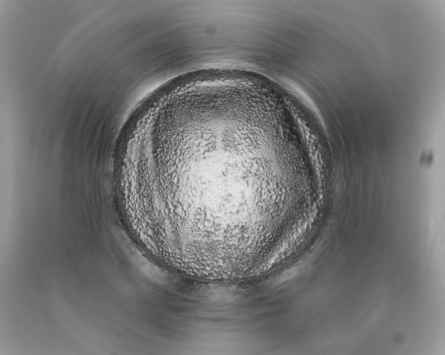 X0000089940831200707201901