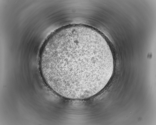 X0000089940832200707201901