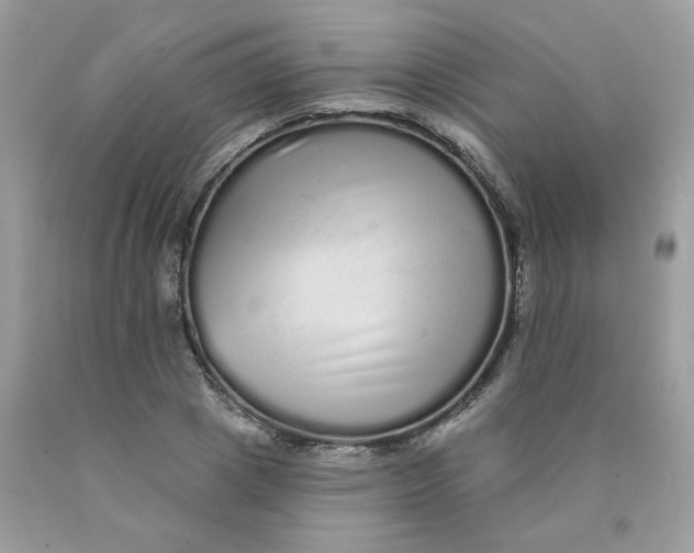 X0000089940833200707201901