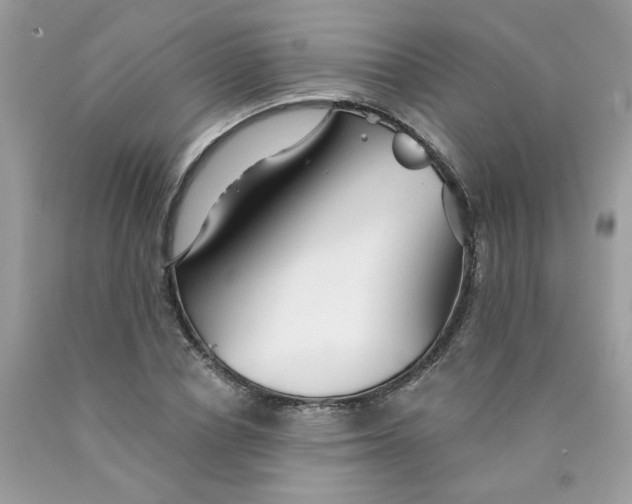 X0000089940834200707201901