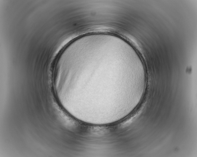 X0000089940835200707201901