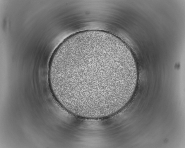 X0000089940836200707201901