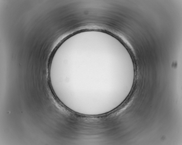 X0000089940837200707201901