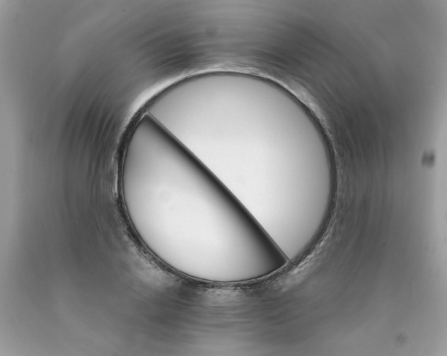 X0000089940838200707201901