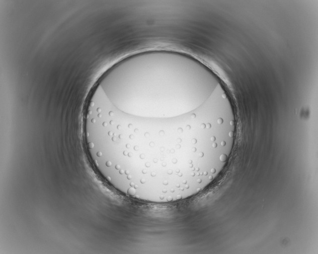 X0000089940839200707201901