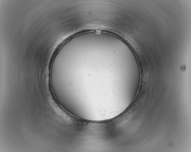 X0000089940840200707201901