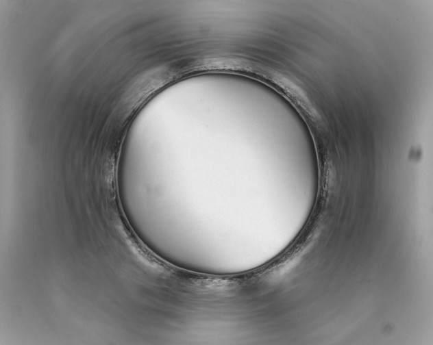 X0000089940841200707201901