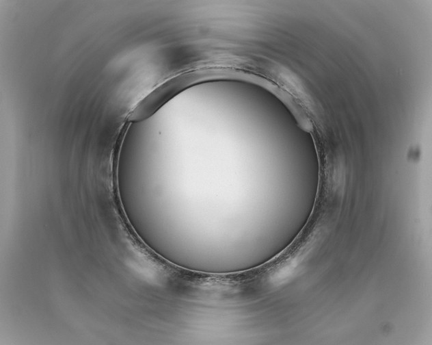 X0000089940842200707201901