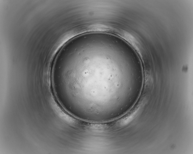 X0000089940843200707201901