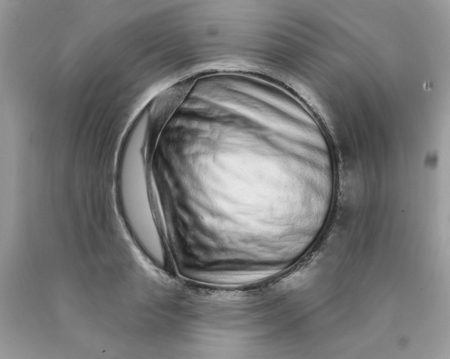 X0000089940845200707201901