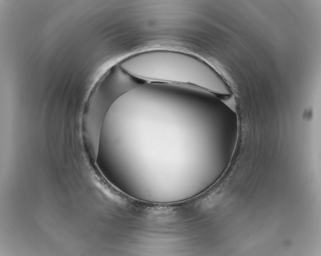 X0000089940846200707201901