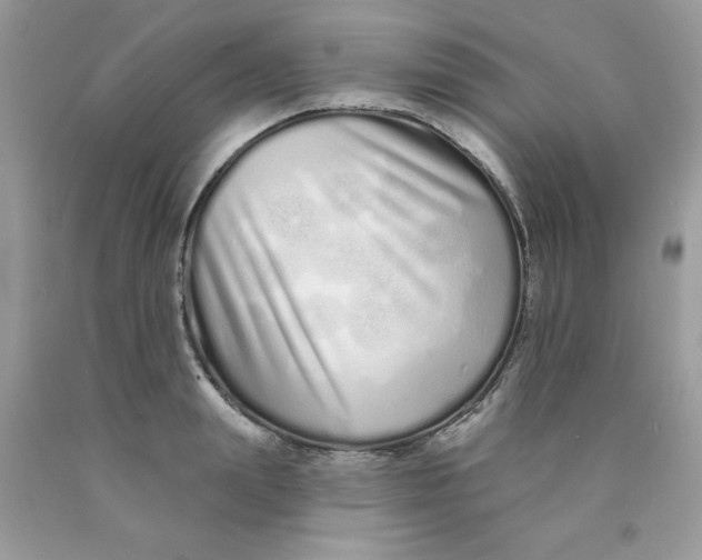 X0000089940847200707201901