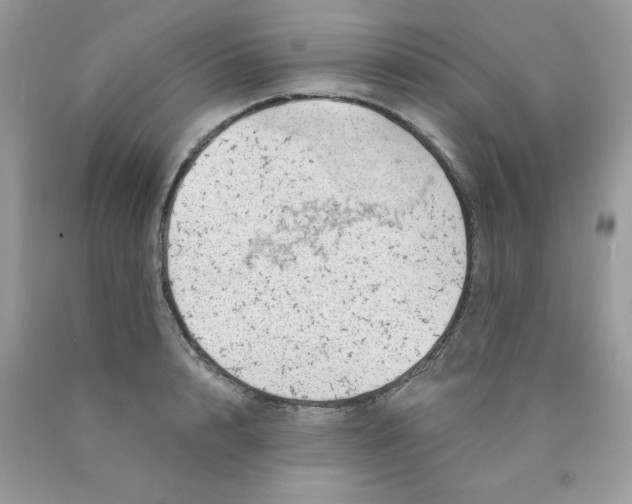 X0000089940848200707201901