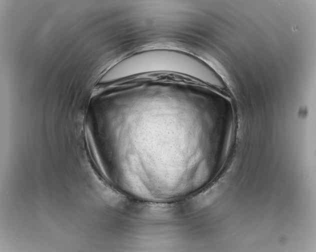 X0000089940849200707201901