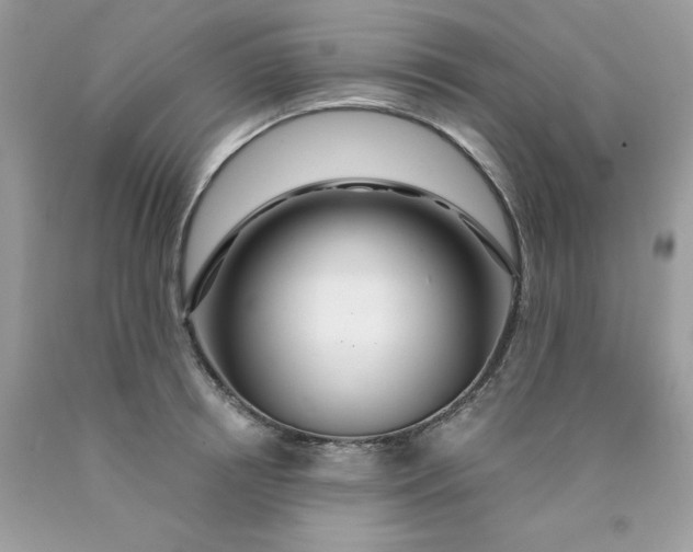 X0000089940850200707201901