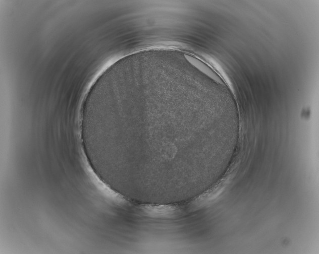 X0000089940851200707201901