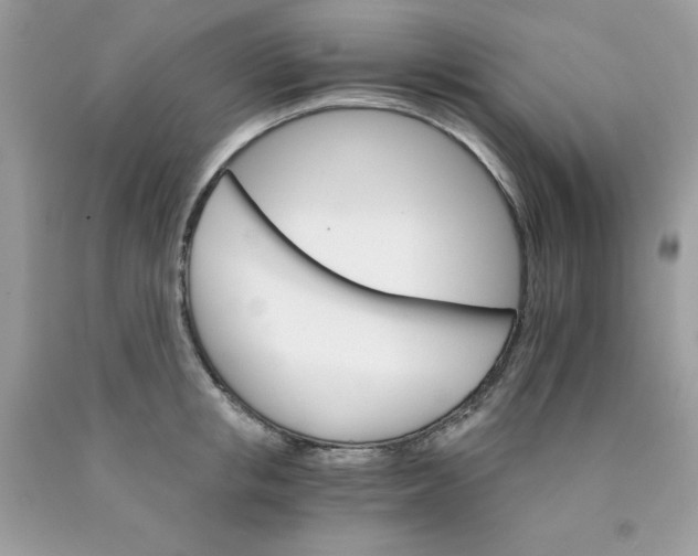 X0000089940853200707201901