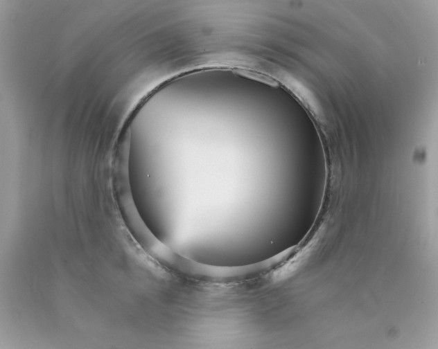 X0000089940854200707201901