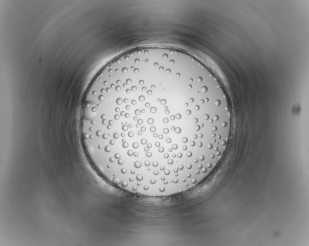 X0000089940855200707201901