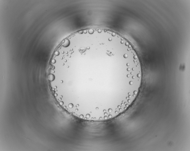 X0000089940856200707201901