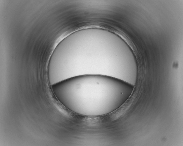 X0000089940858200707201901