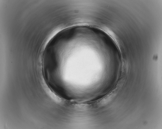 X0000089940859200707201901