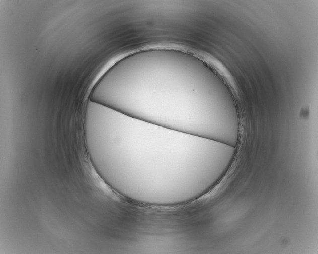 X0000089940860200707201901