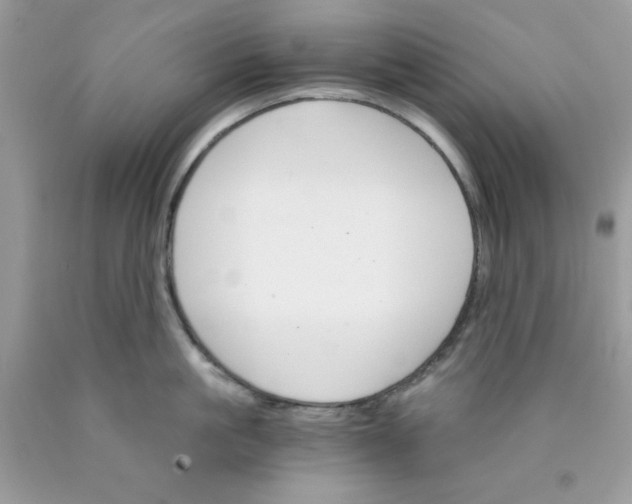 X0000089940861200707201901