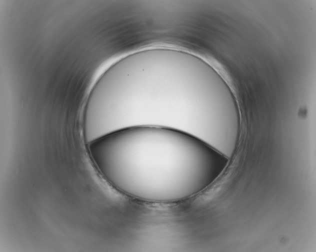 X0000089940862200707201901