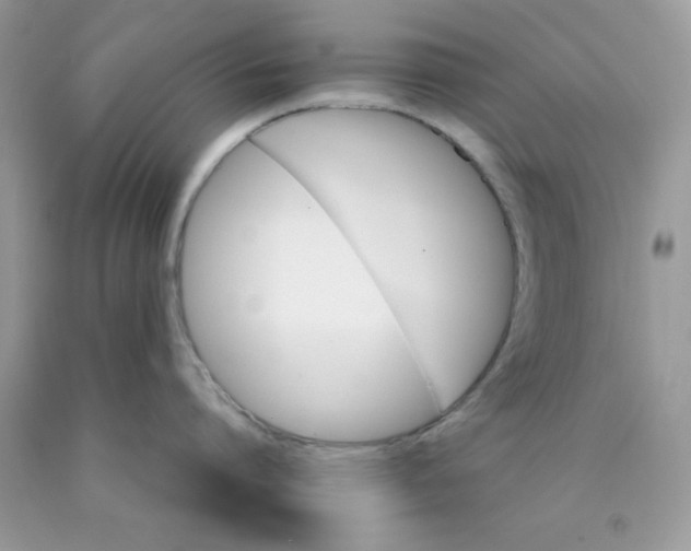 X0000089940864200707201901