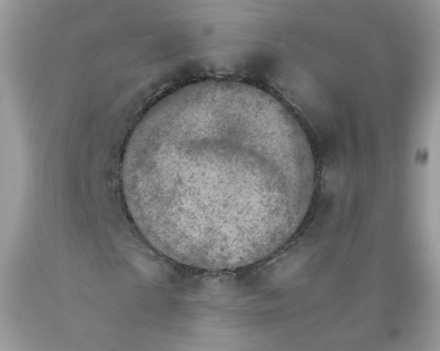 X0000089940865200707201901