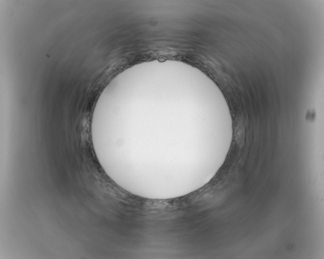 X0000089940866200707201901