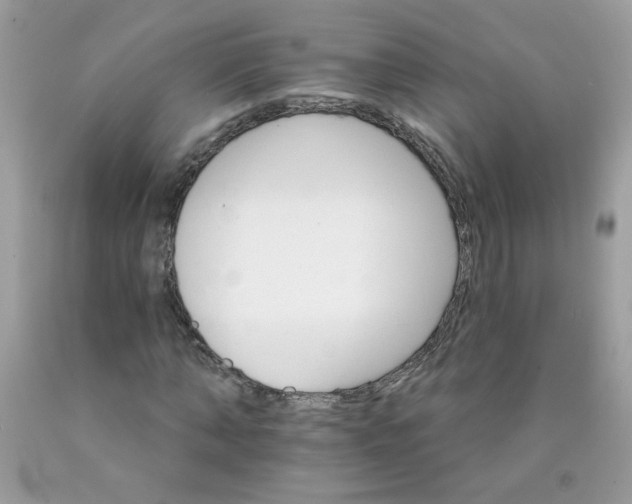 X0000089940870200707201901