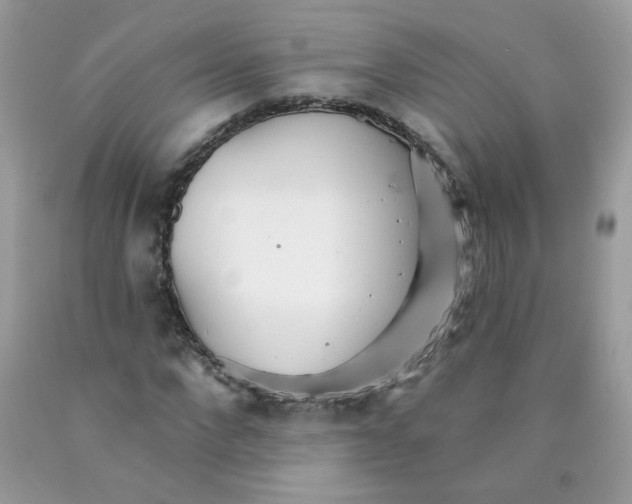 X0000089940872200707201901