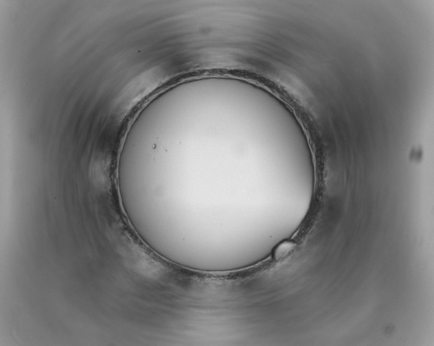 X0000089940873200707201901