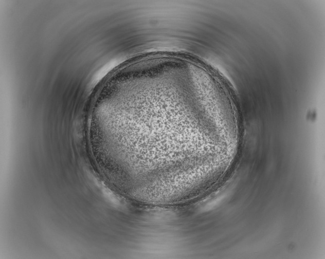 X0000089940874200707201900