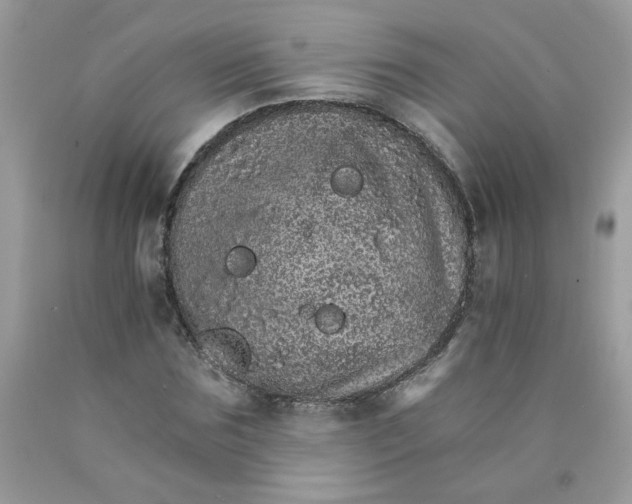 X0000089940875200707201900