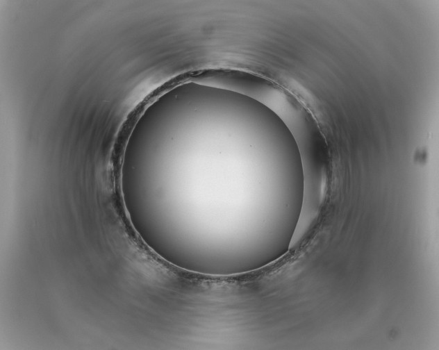 X0000089940876200707201900