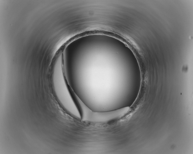 X0000089940877200707201900